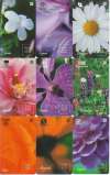 01887 BT 2000 Série: Flores (perfumadas) 5.000x (9 cts.) COM CARIMBO
